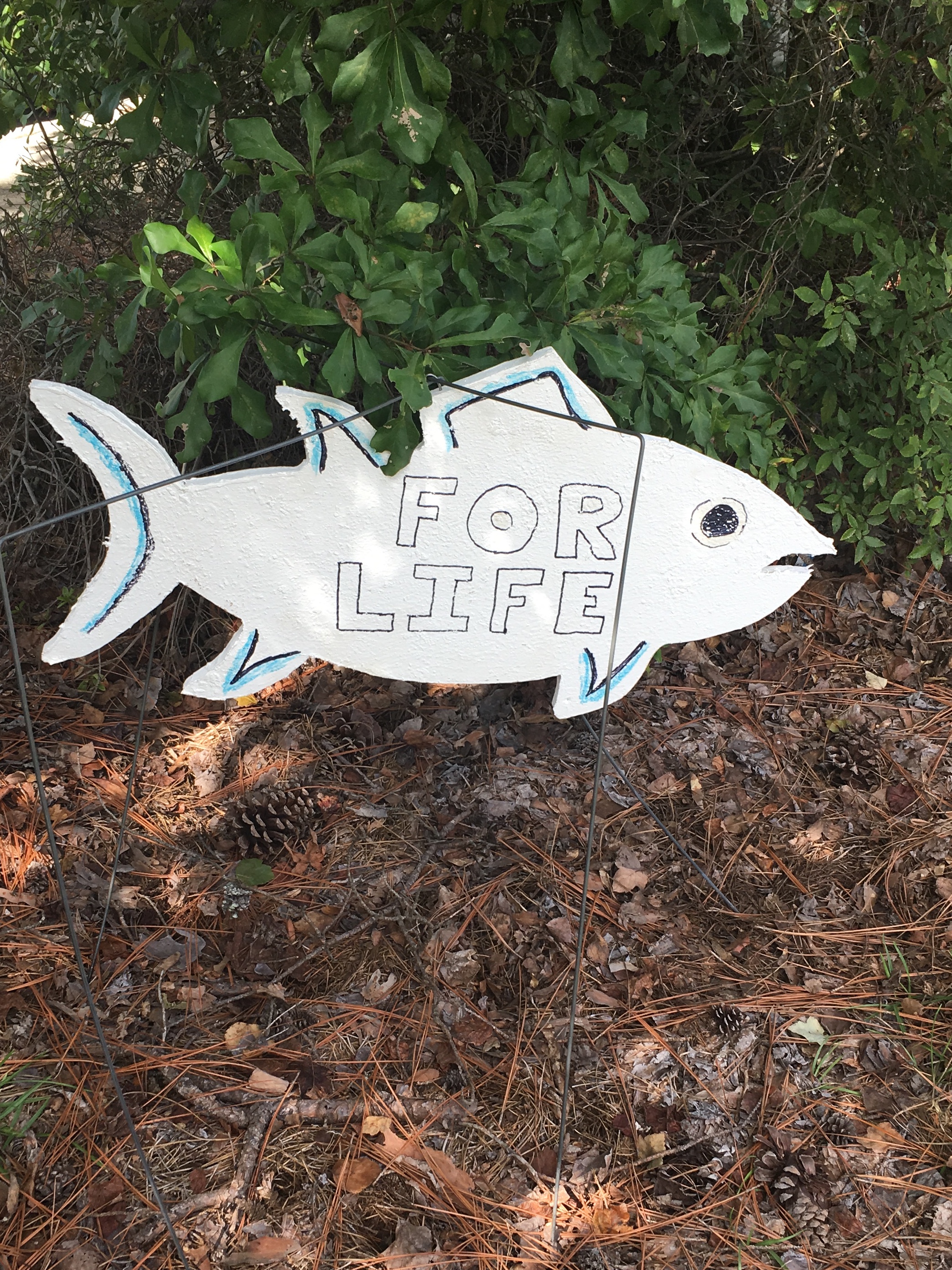 Fish Fry for Life at Seven Oaks Park