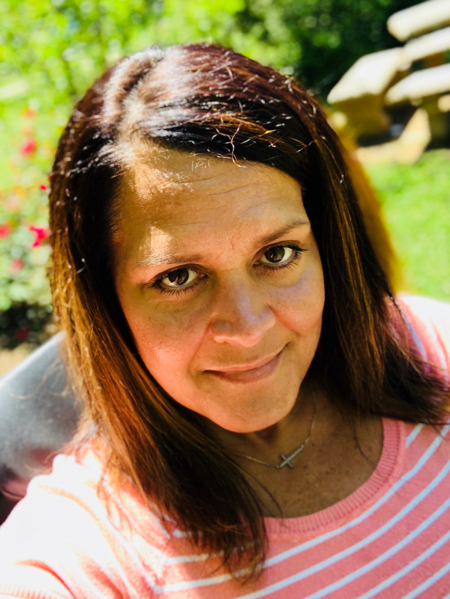 My Campaign Pictures