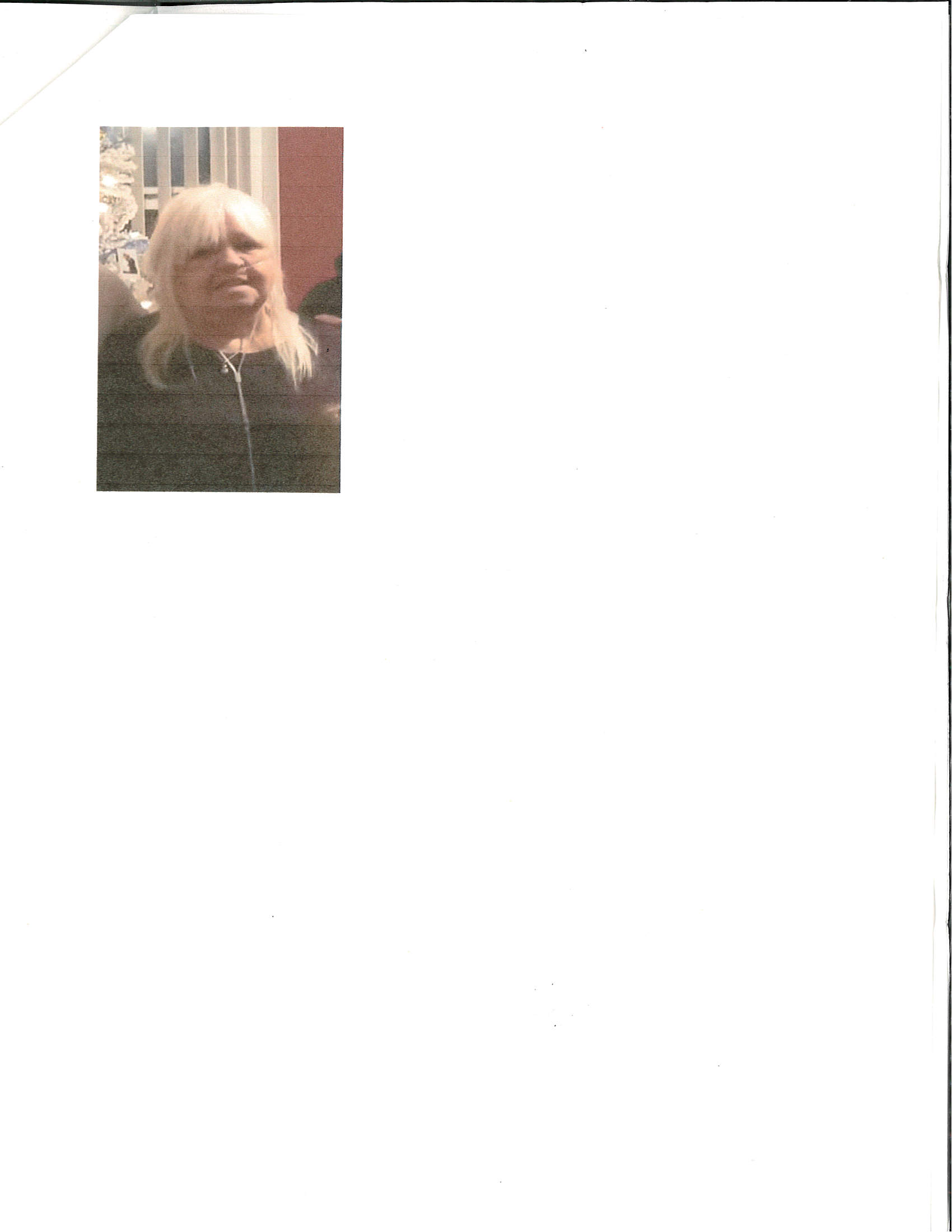 My Campaign Pictures