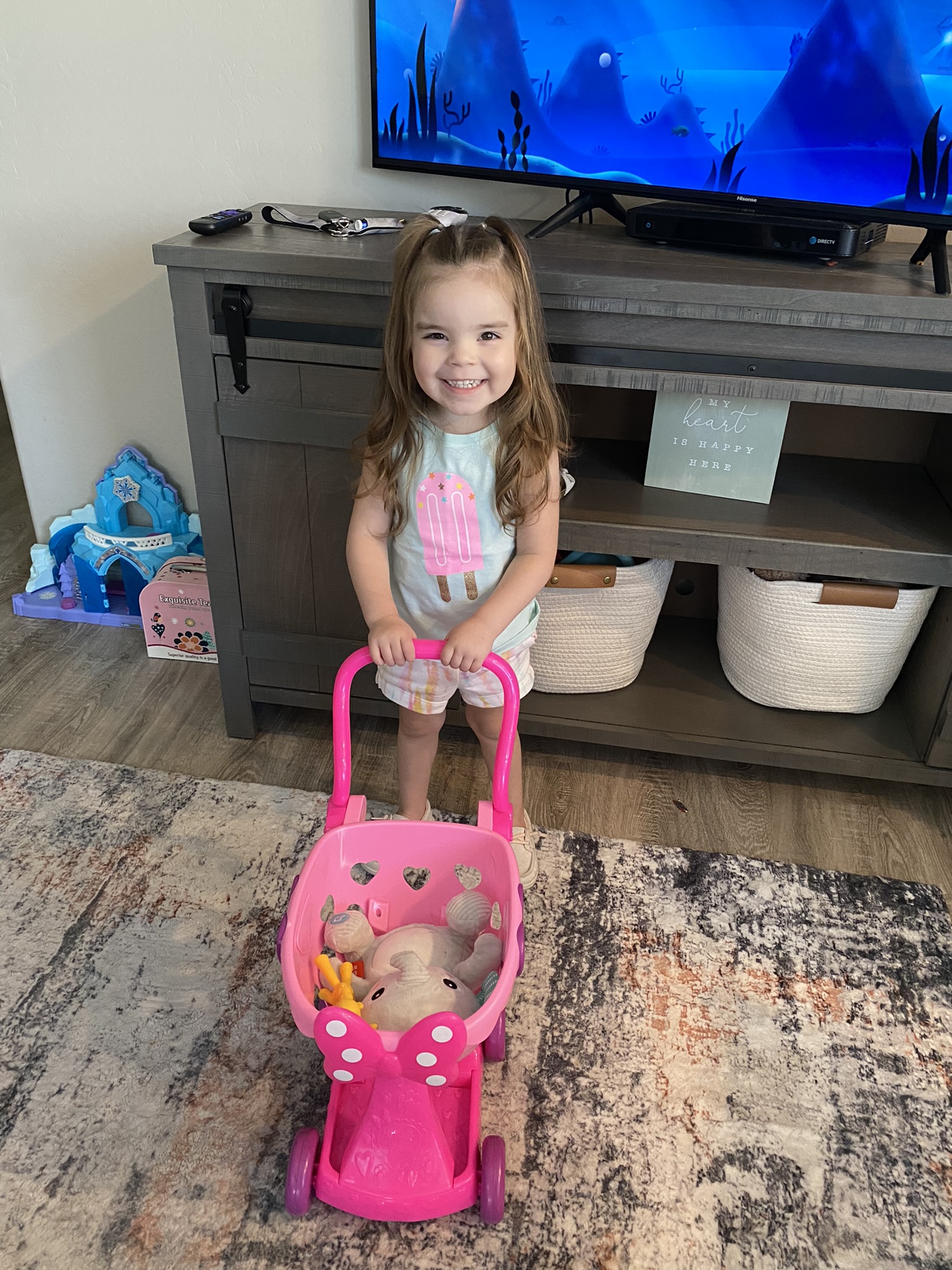 My Campaign Pictures