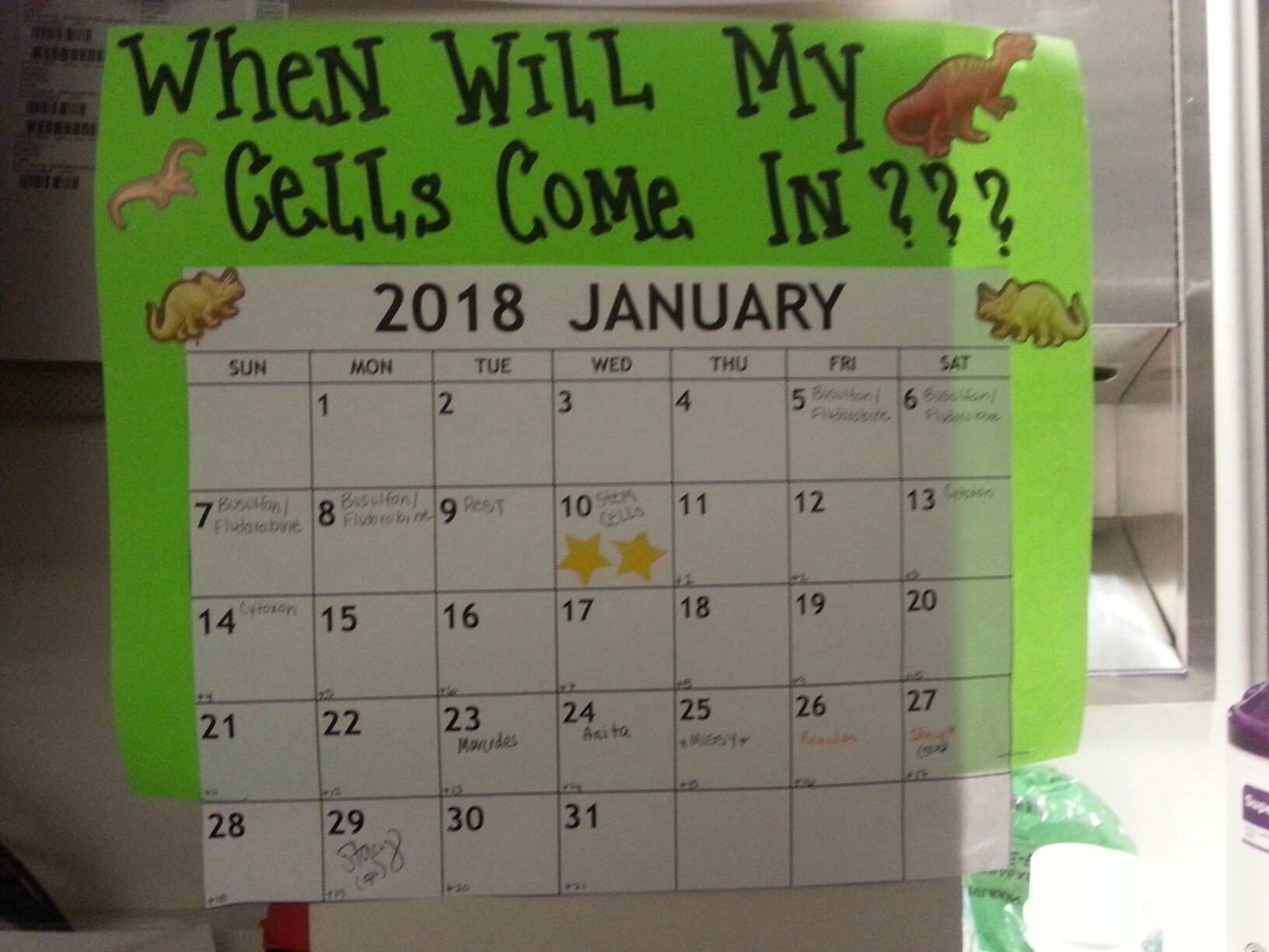 Going through the process