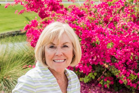 My Campaign Pictures