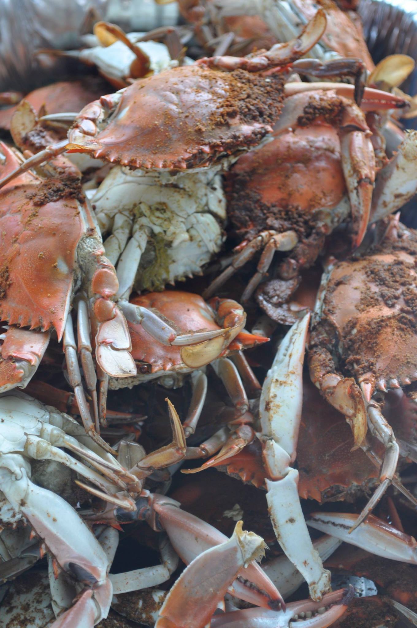 Lil Taste from Year 2