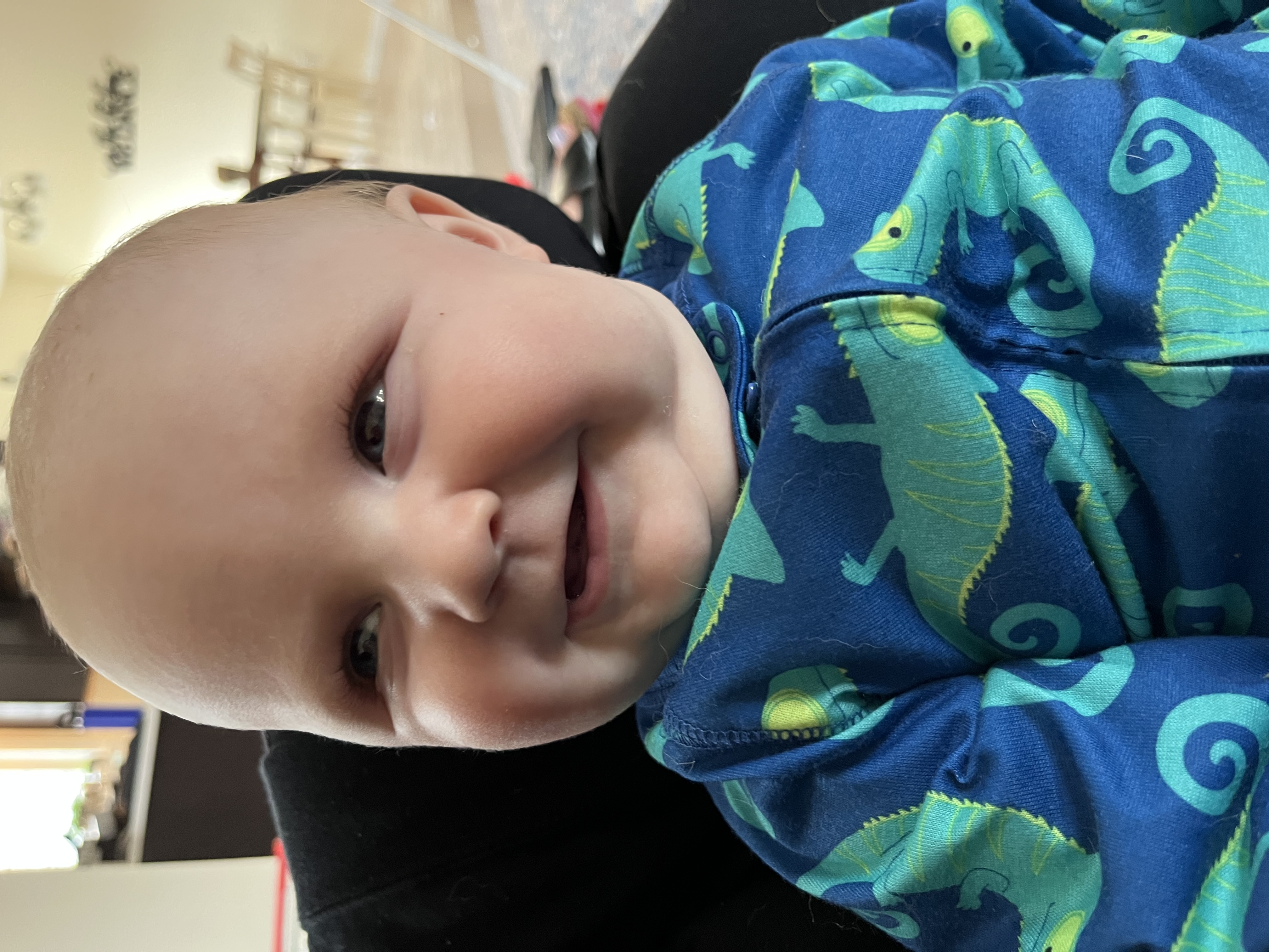 My Campaign Pictures