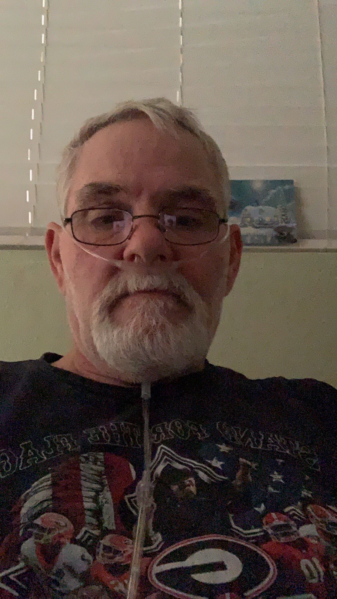 My Campaign Pictures