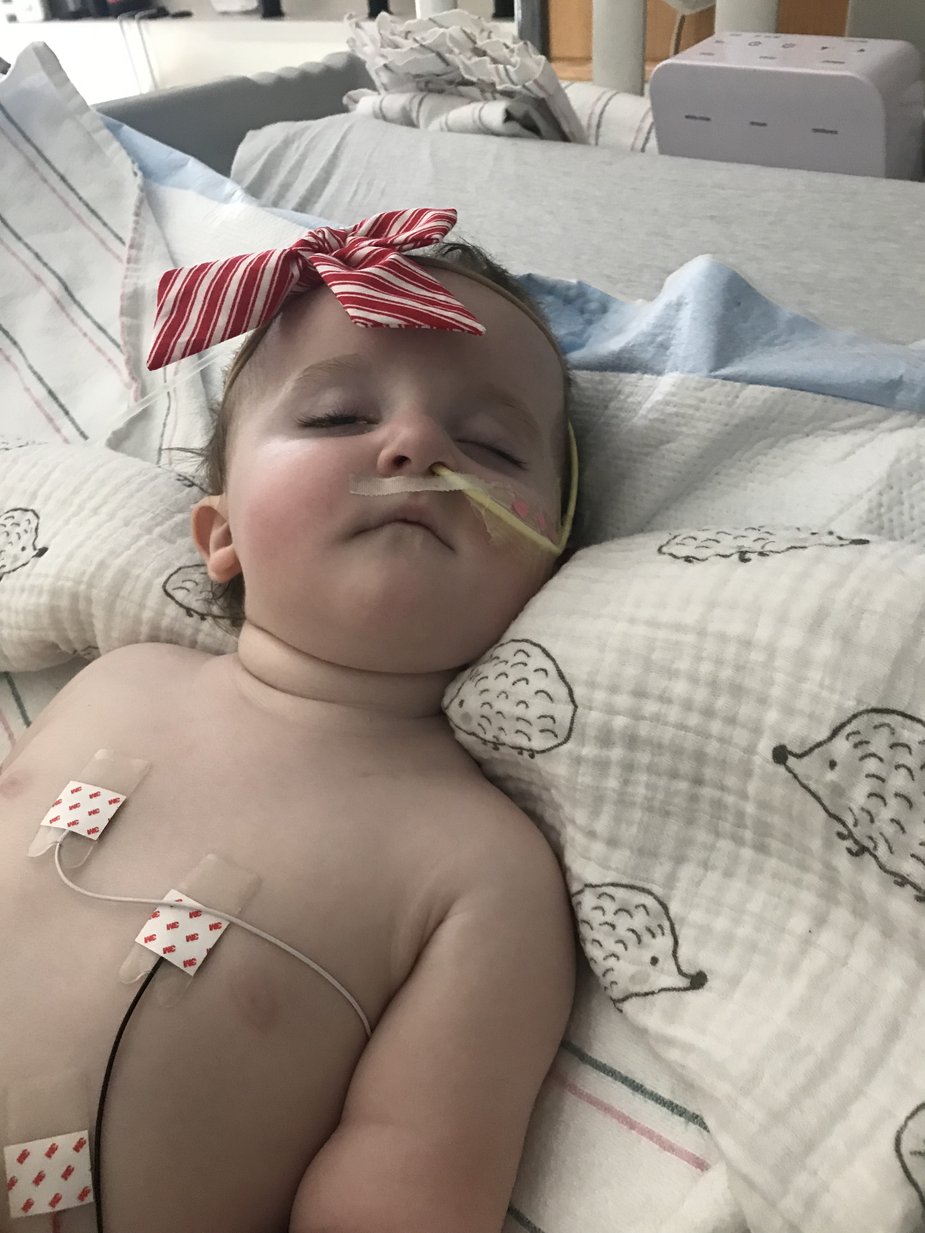 My Campaign Pictures