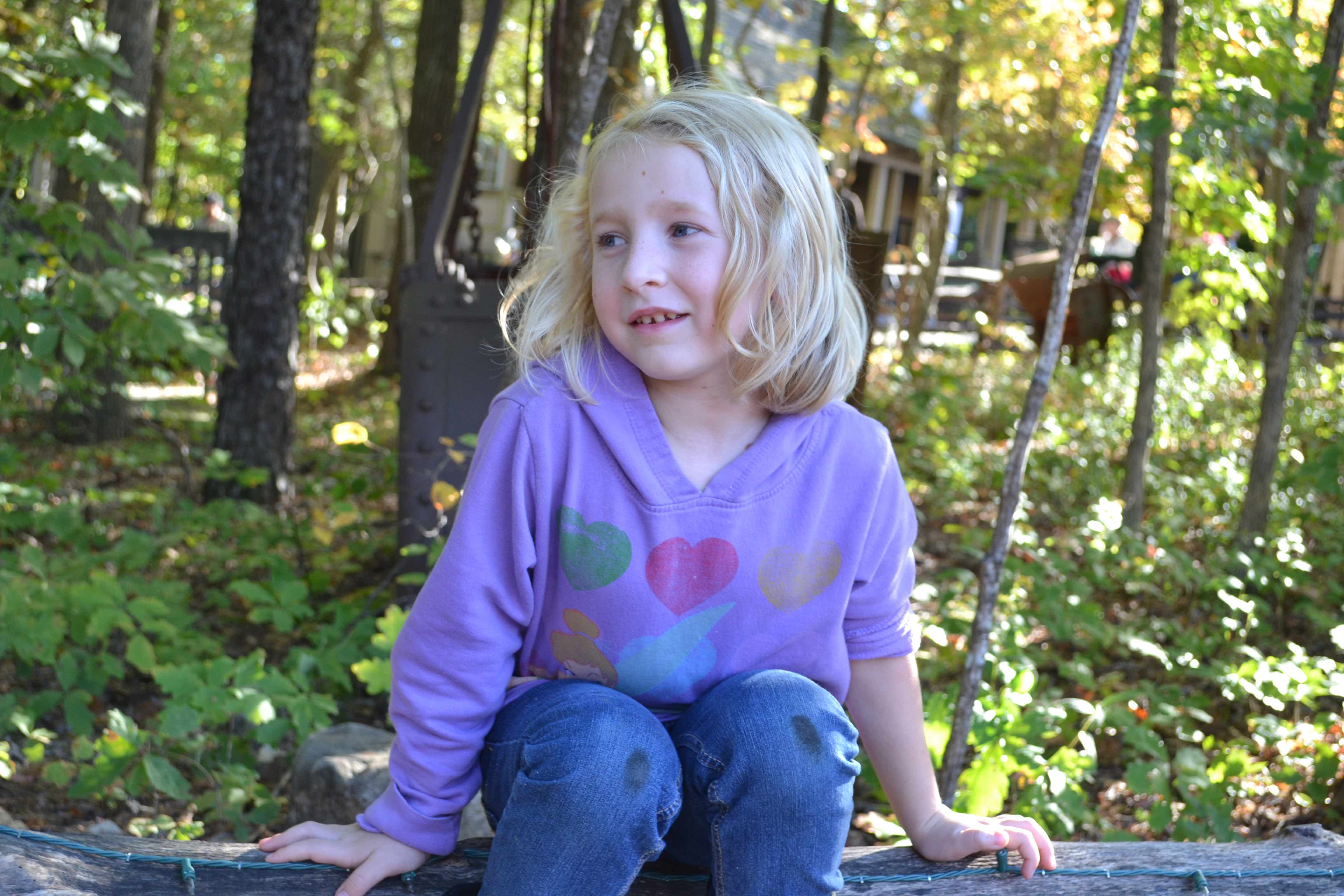 My Campaign Pictures