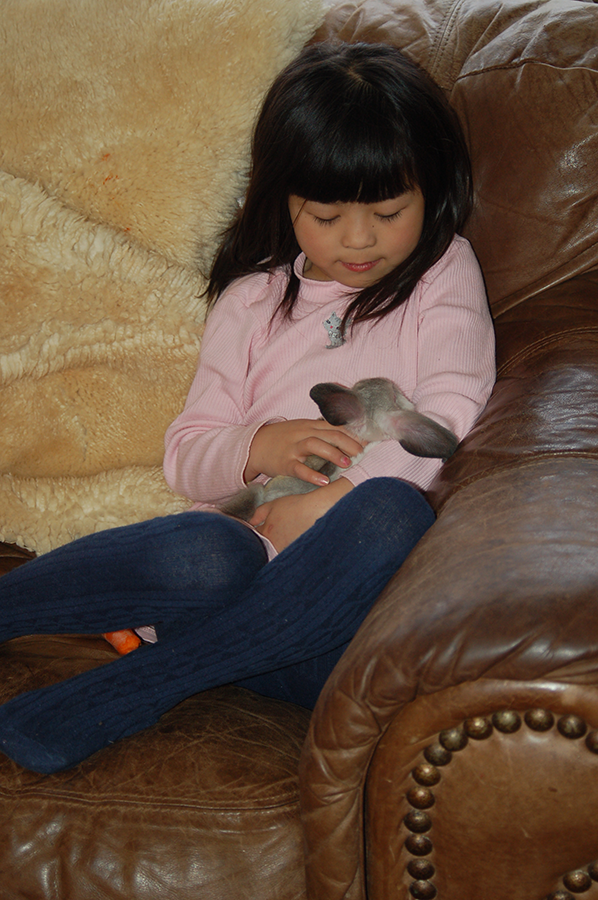 Adjustment to Country Life