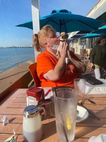 My Campaign Pictures