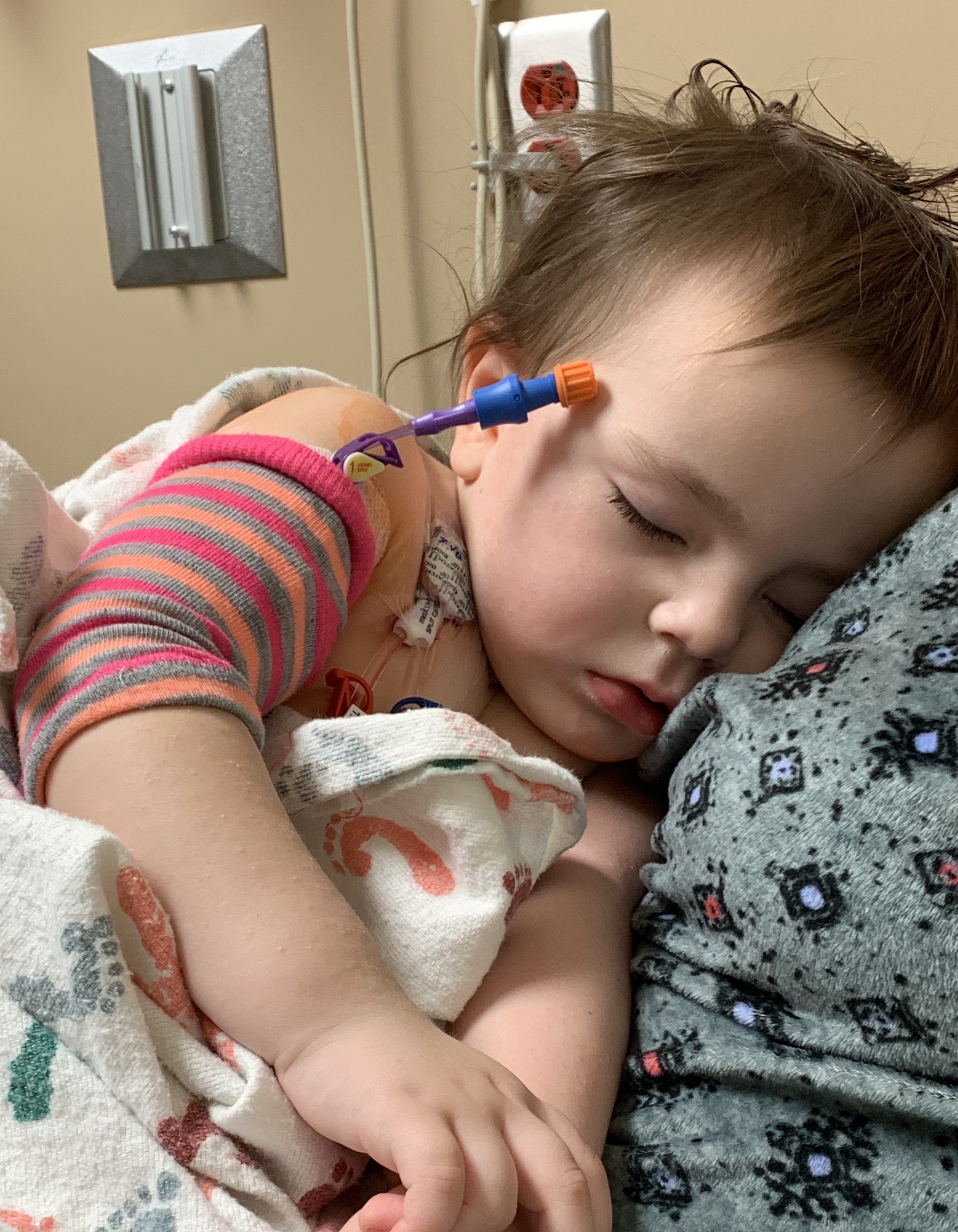 My Campaign Pictures