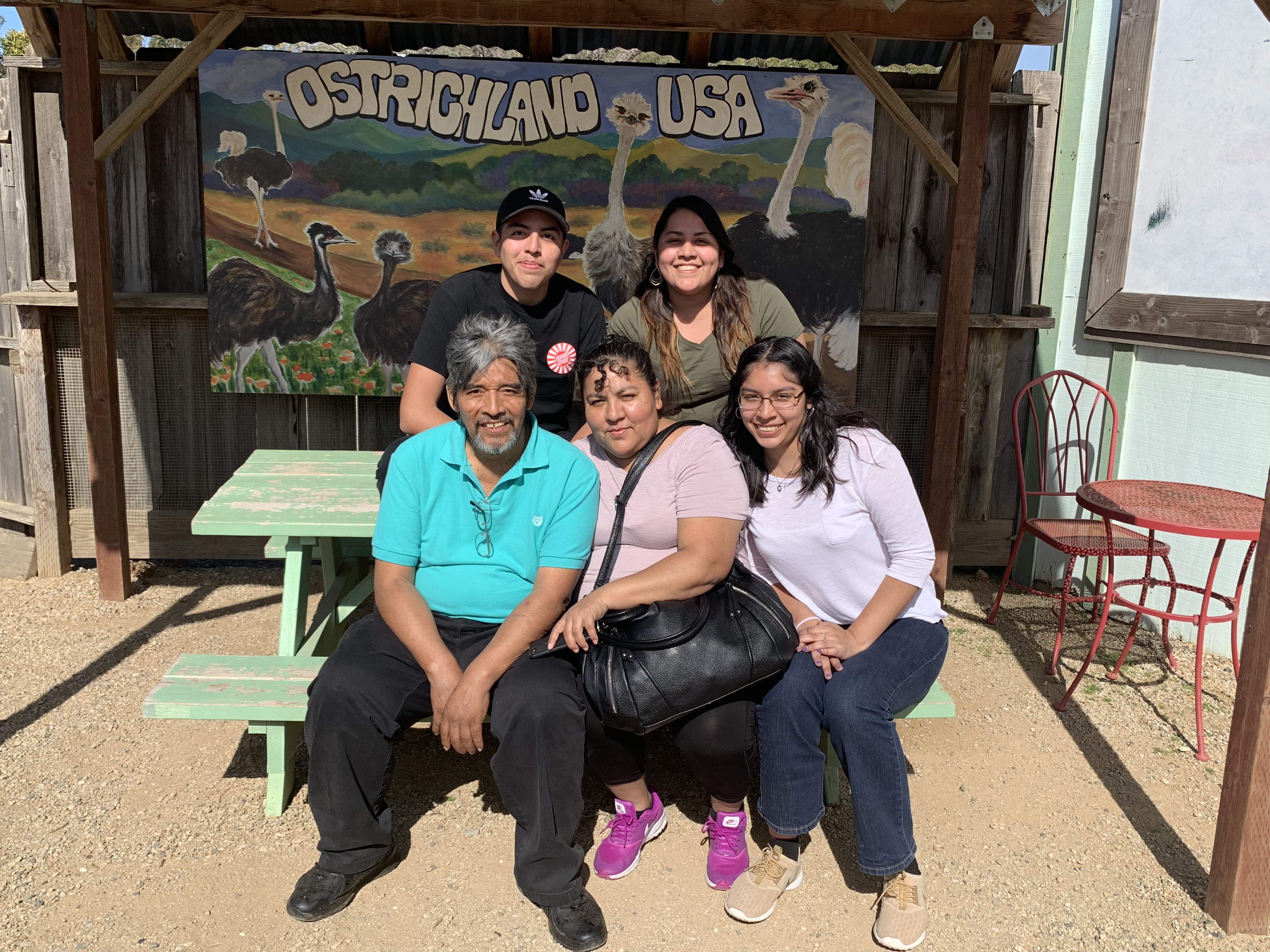 My Campaign Pictures