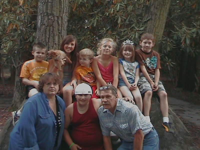 My Campaign Pictures