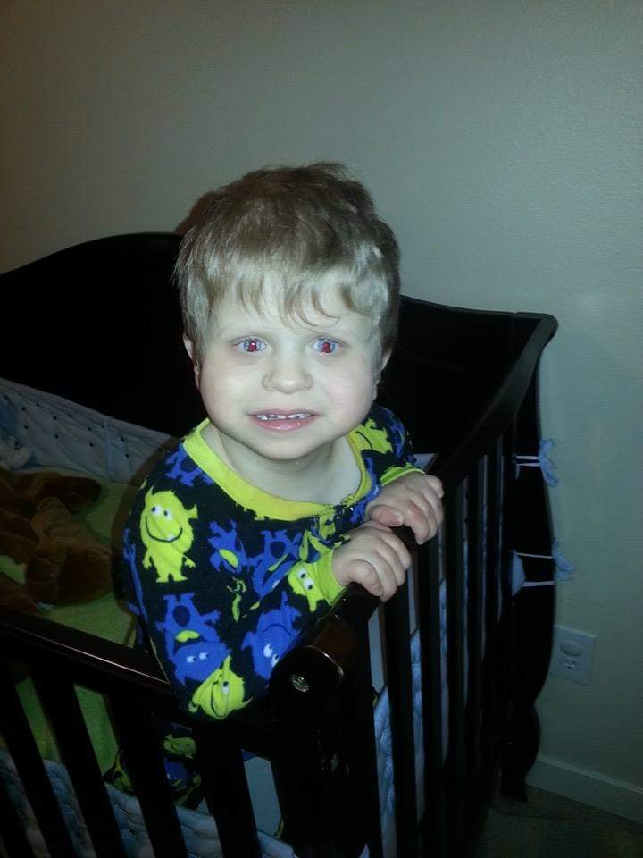 My Campaign Pictures