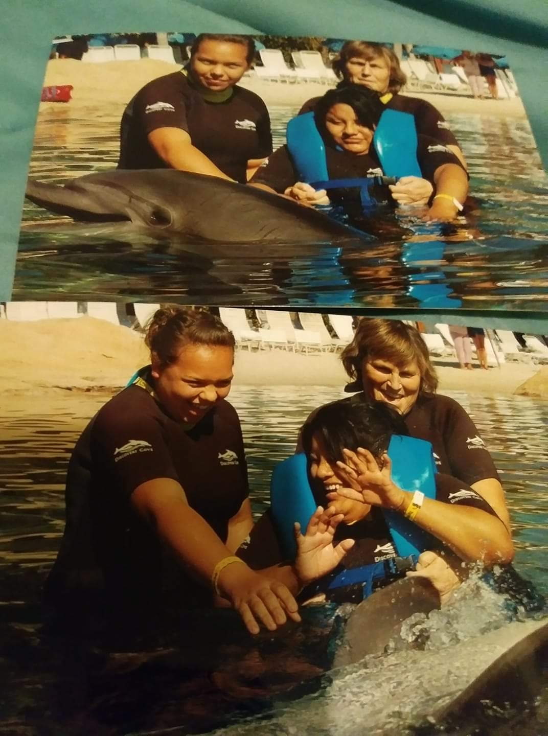 My Campaign Pictures