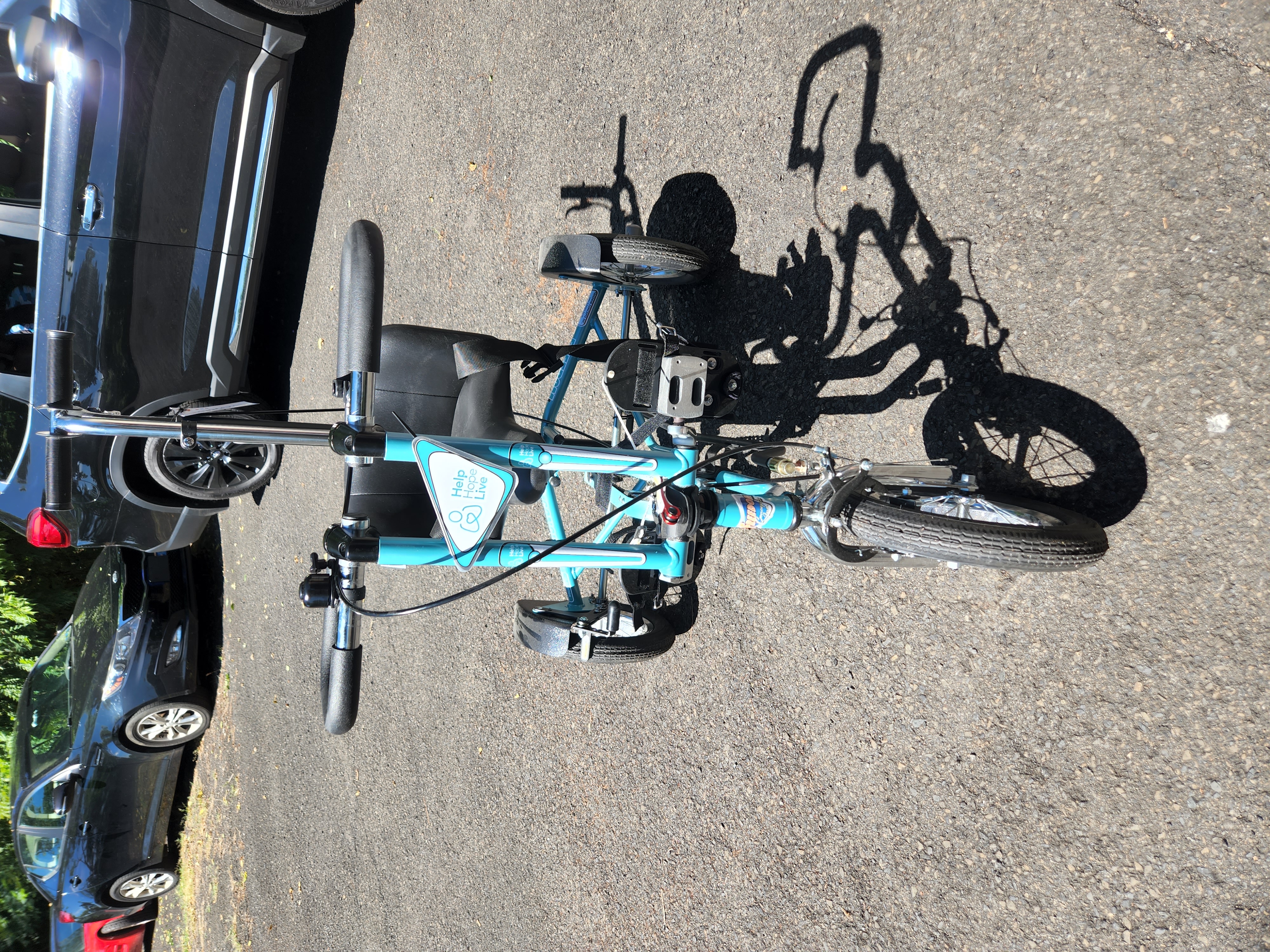 My Campaign Pictures