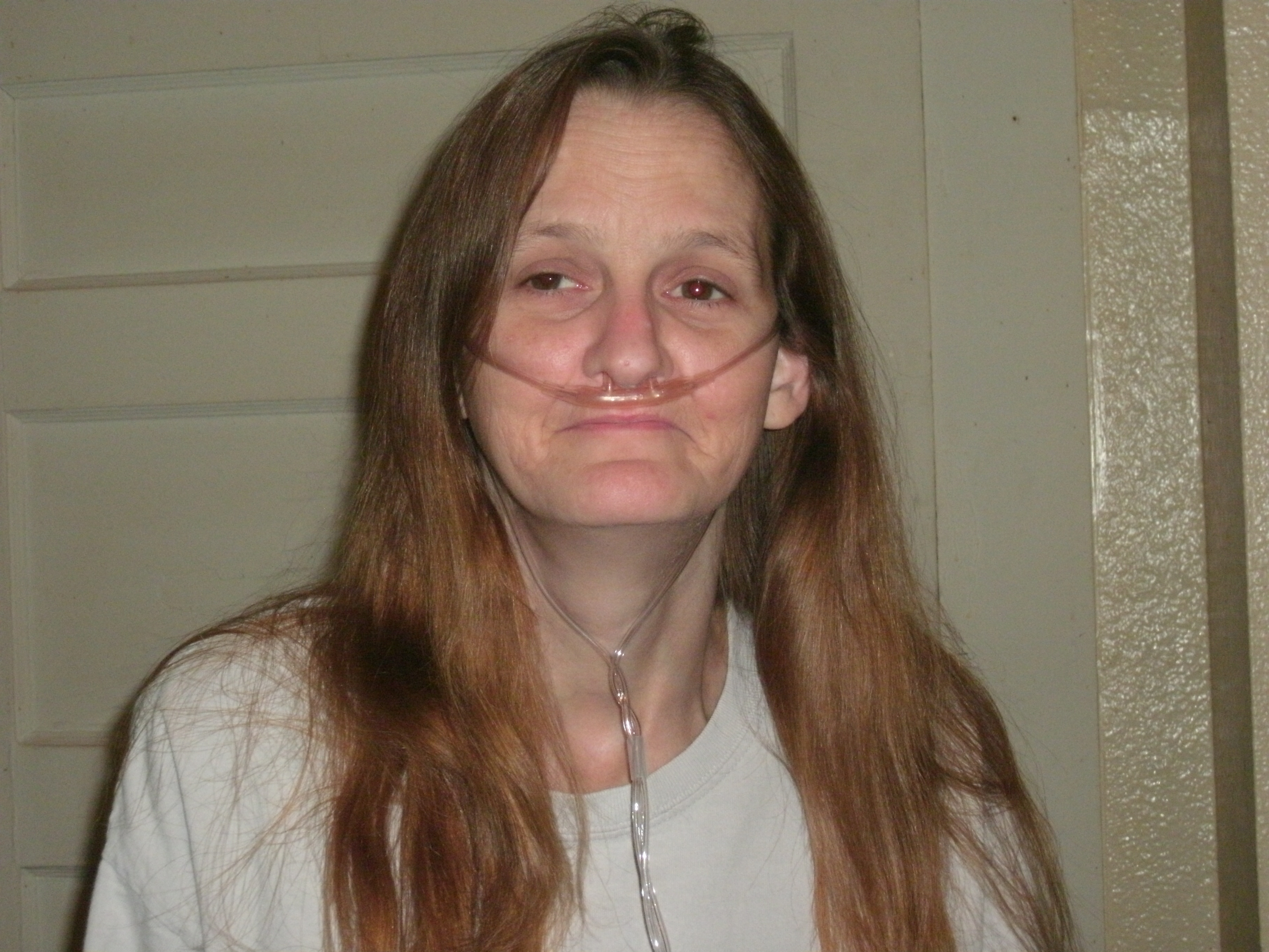 My Campaign Pictures