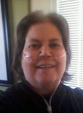 My Campaign Pictures