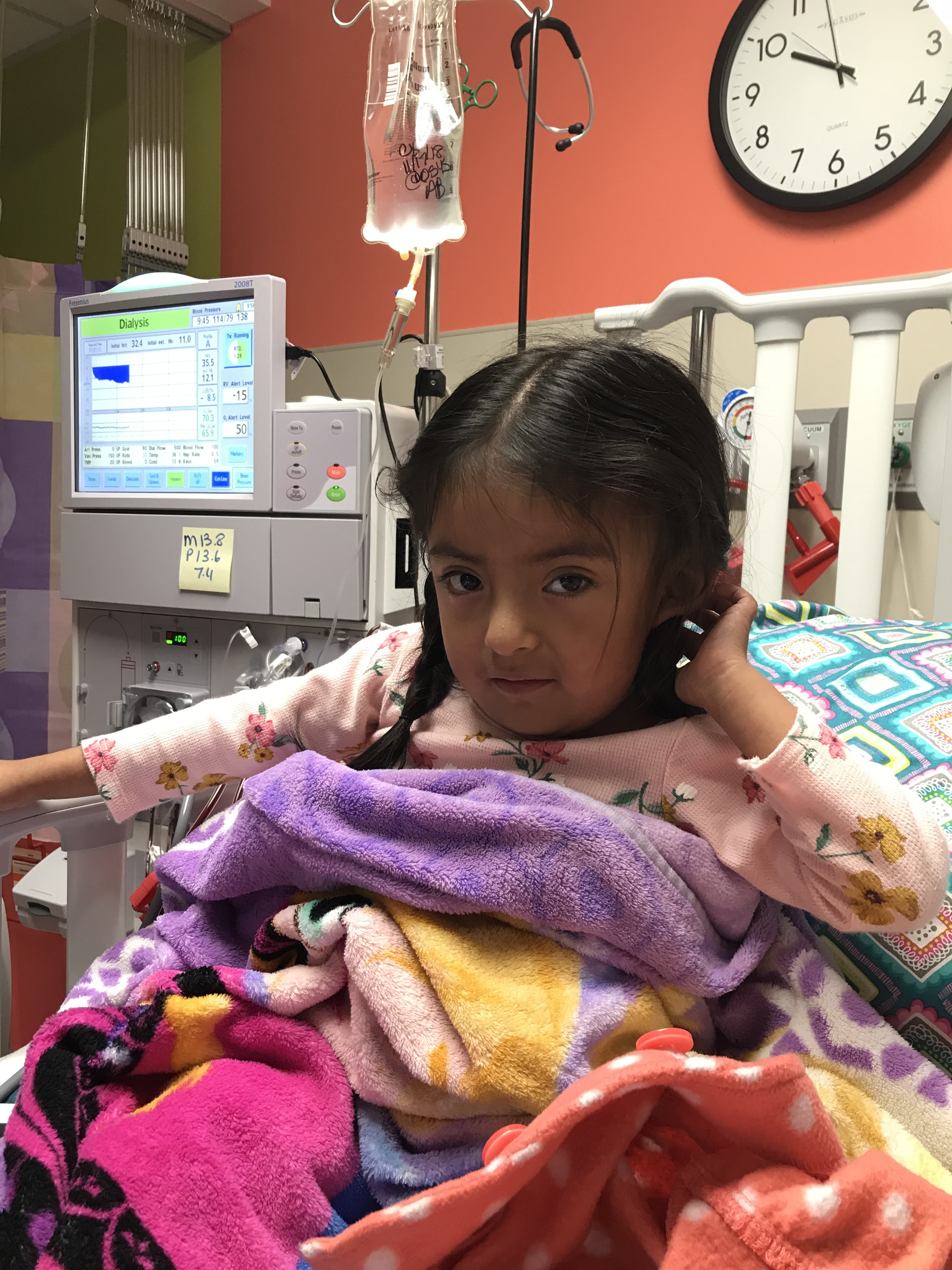 My Campaign Pictures