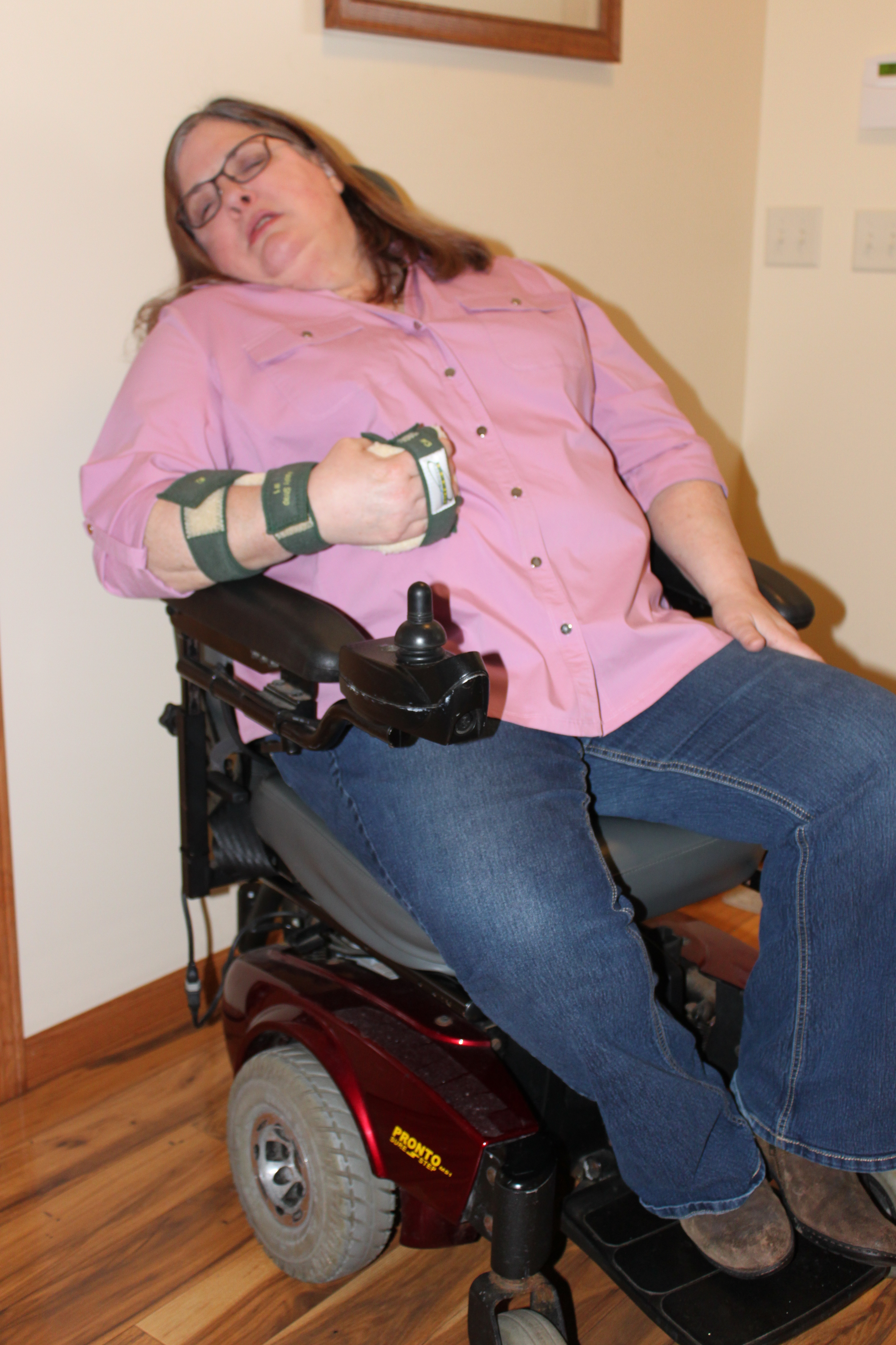 My Campaign Pictures