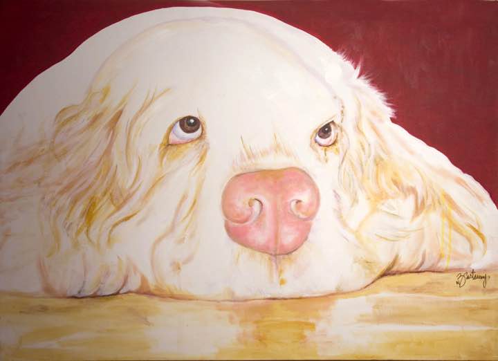 My Campaign Pictures