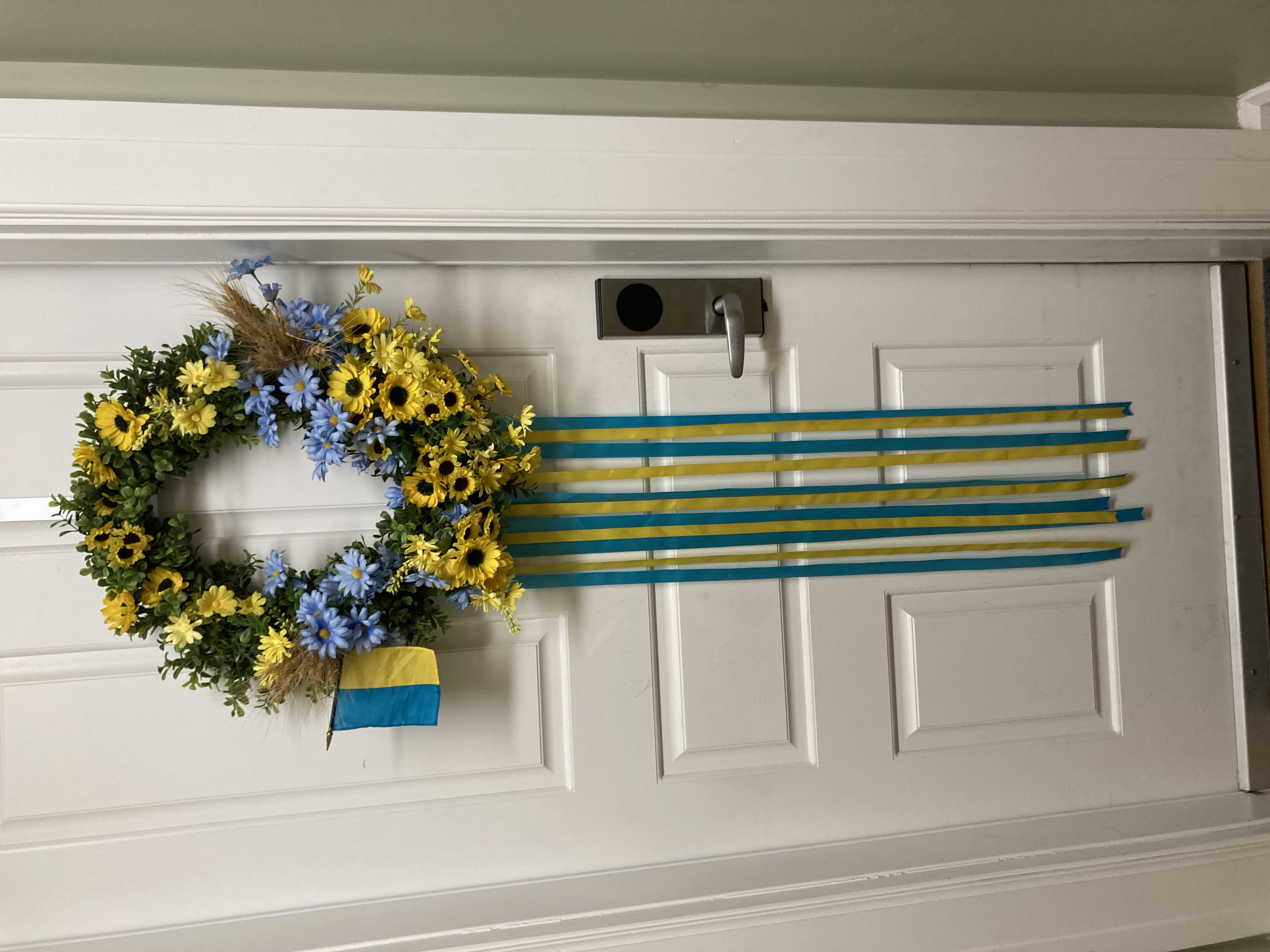 MickeyZ Kidney Dialysis