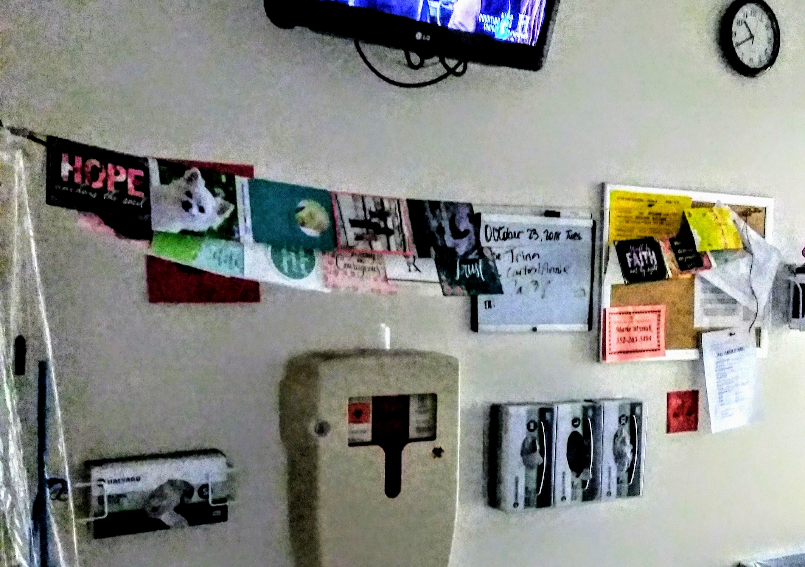 Back at Shand's Rehab