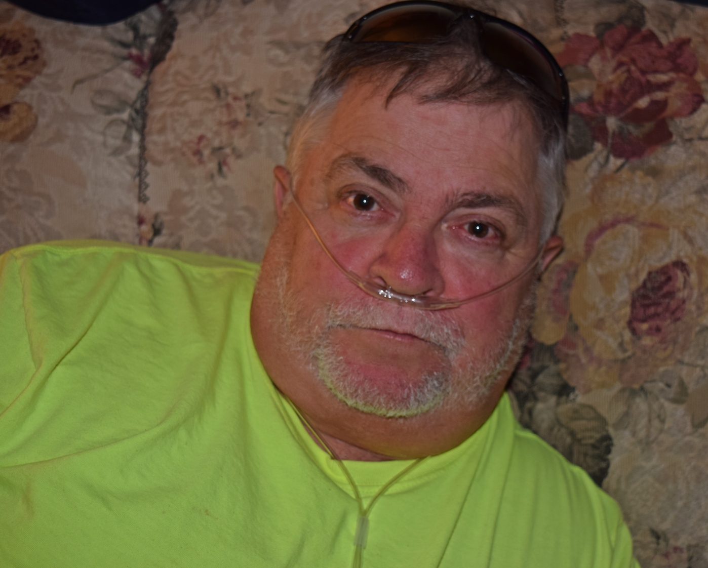 My Campaign Pictures