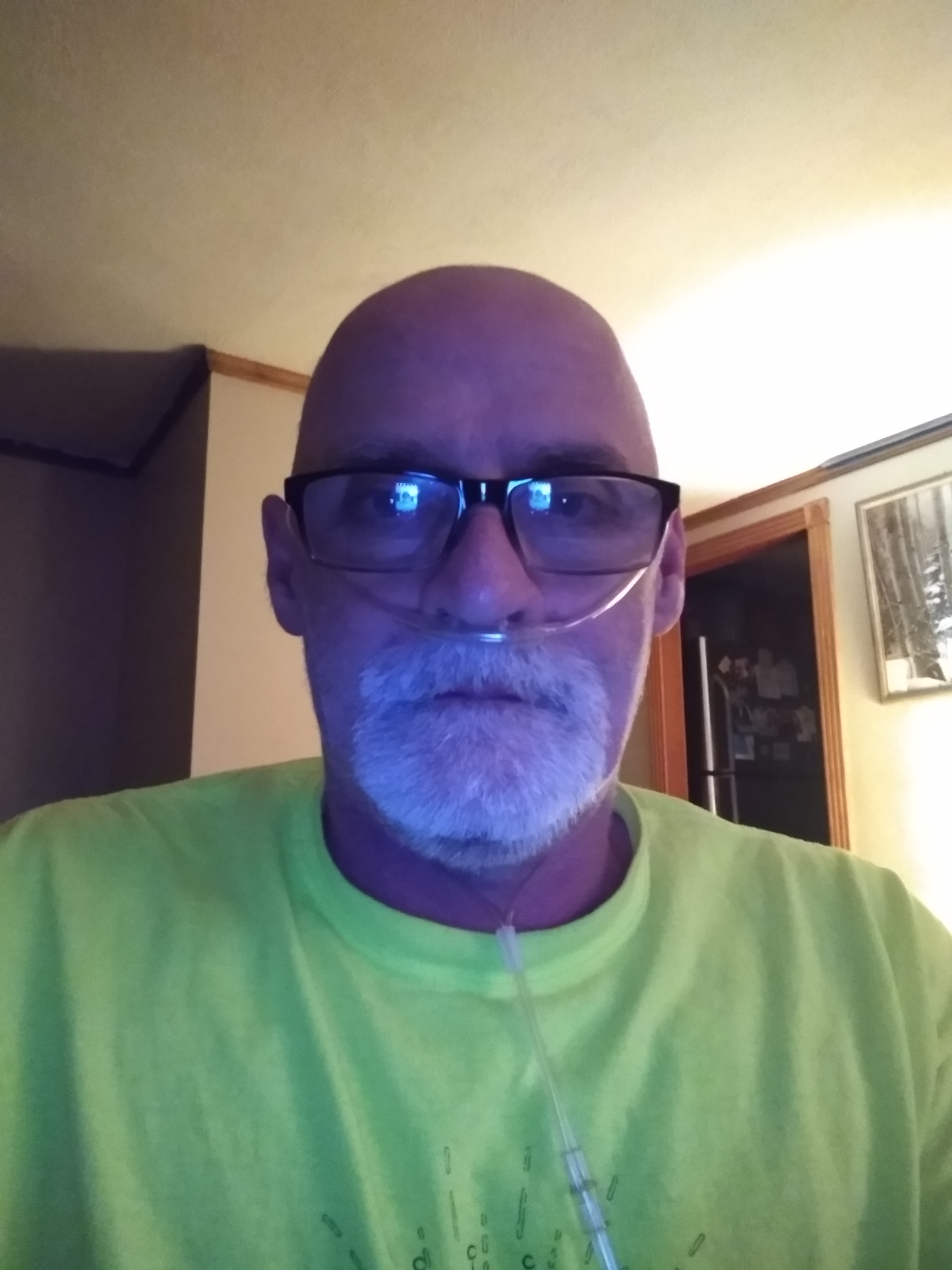 My Campaign Pictures