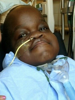 My Campaign Pictures