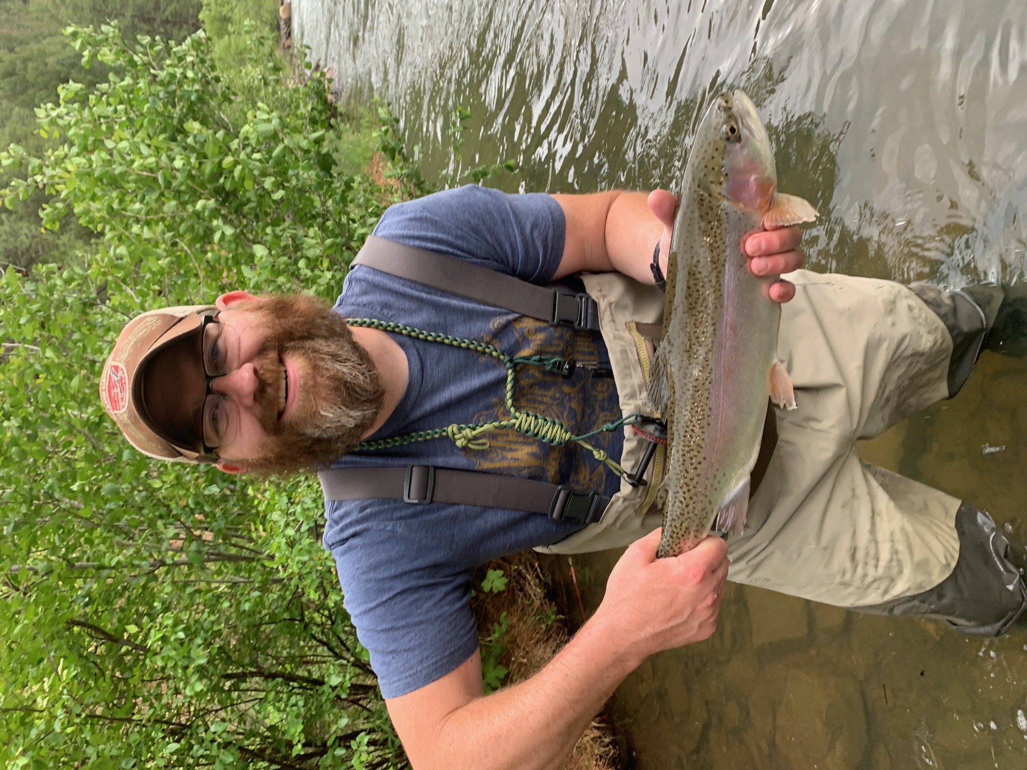 My Campaign Pictures