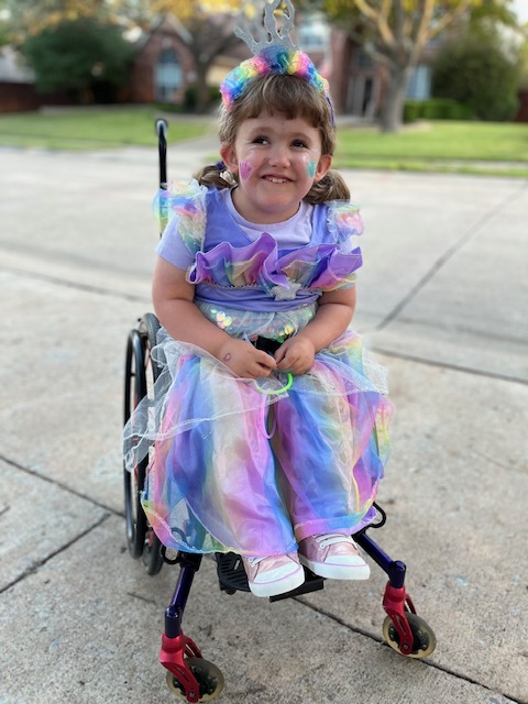 My Campaign Pictures