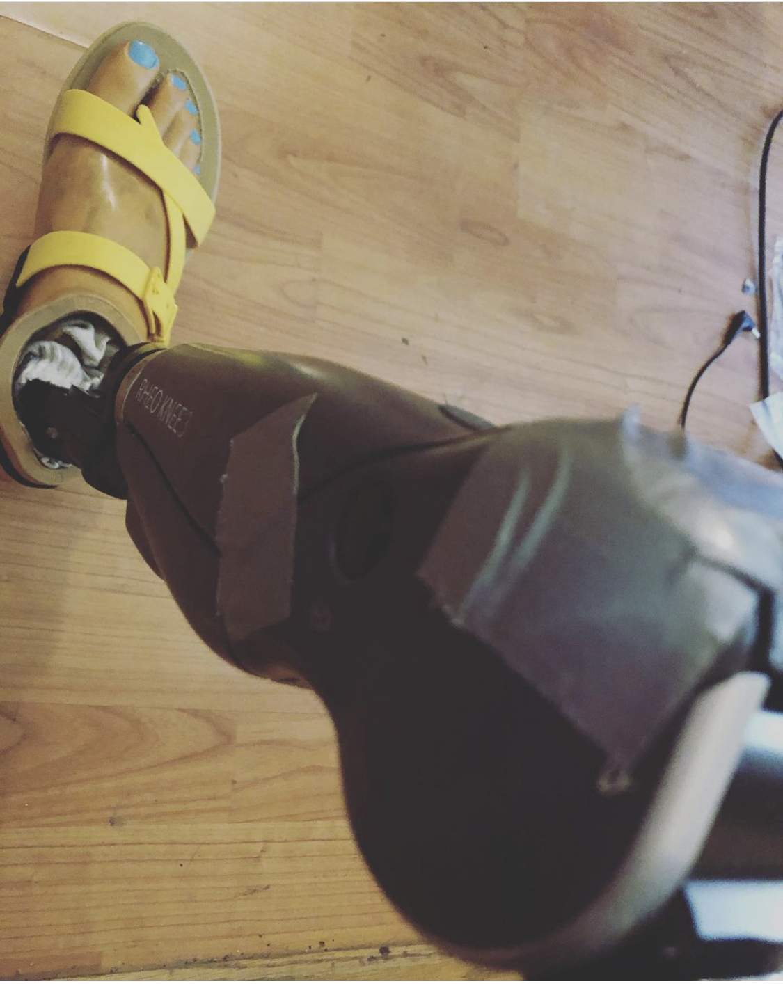 My Campaign Pictures