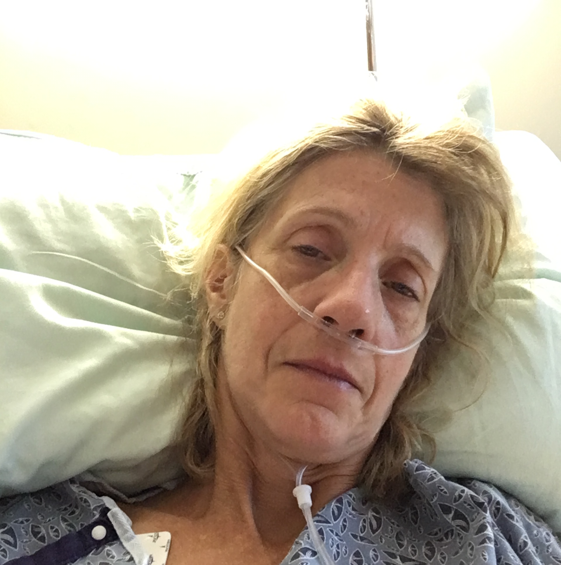 My Campaign Pictures