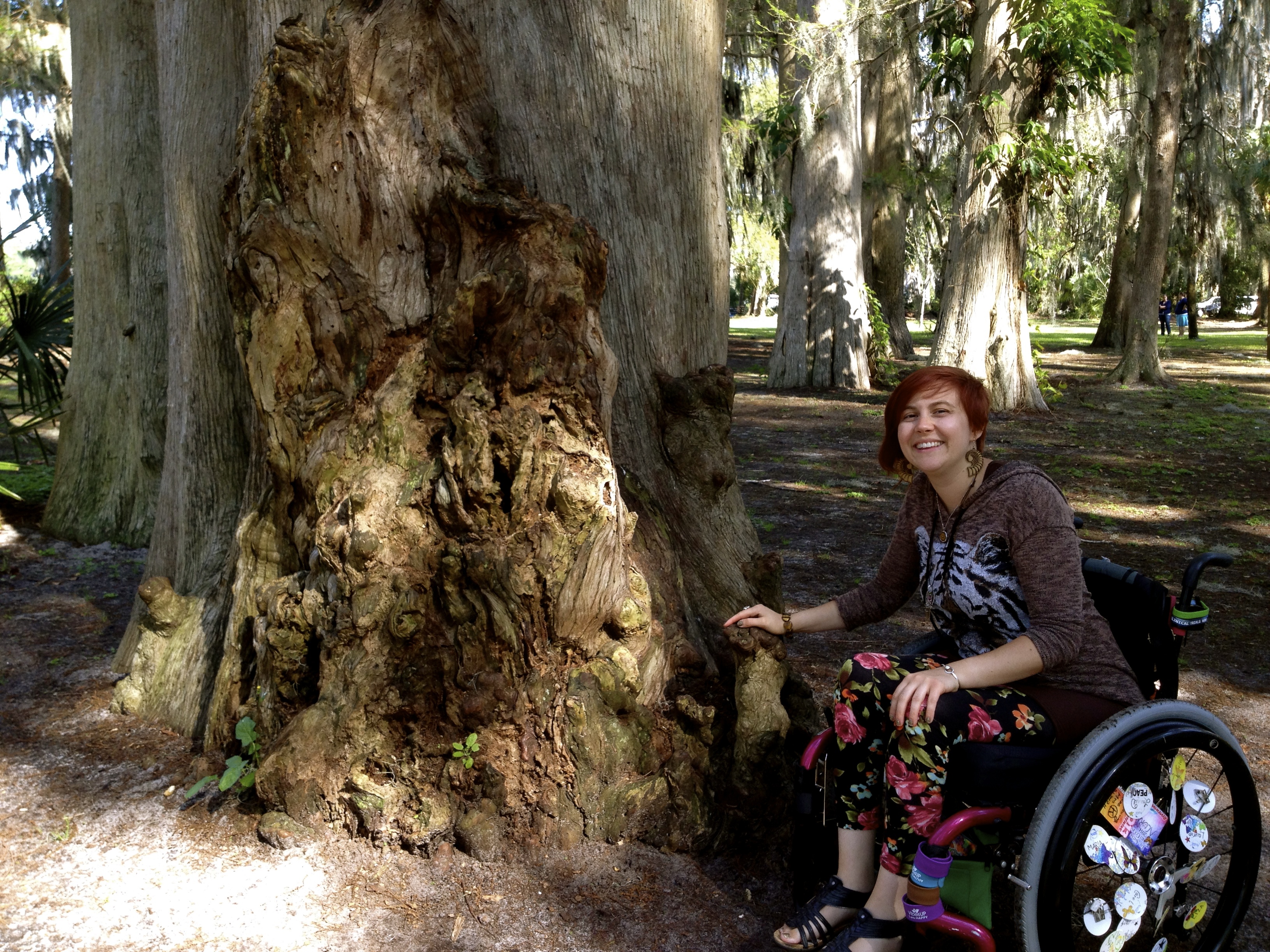 Life in Florida 2013-2015