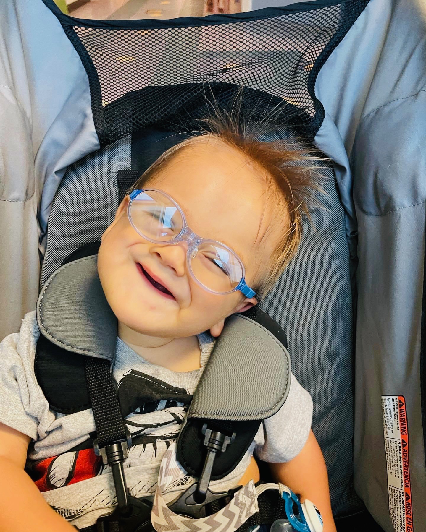 My Campaign Pictures