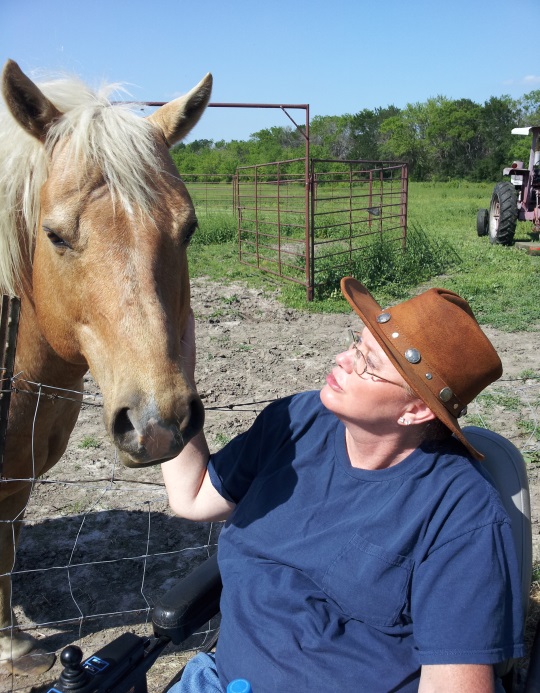 My Campaign Pictures