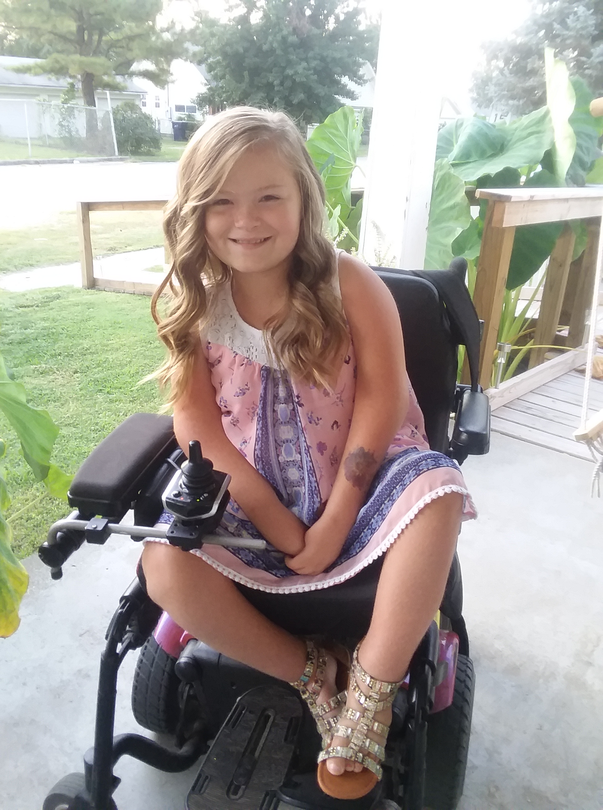 My Campaign Pictures