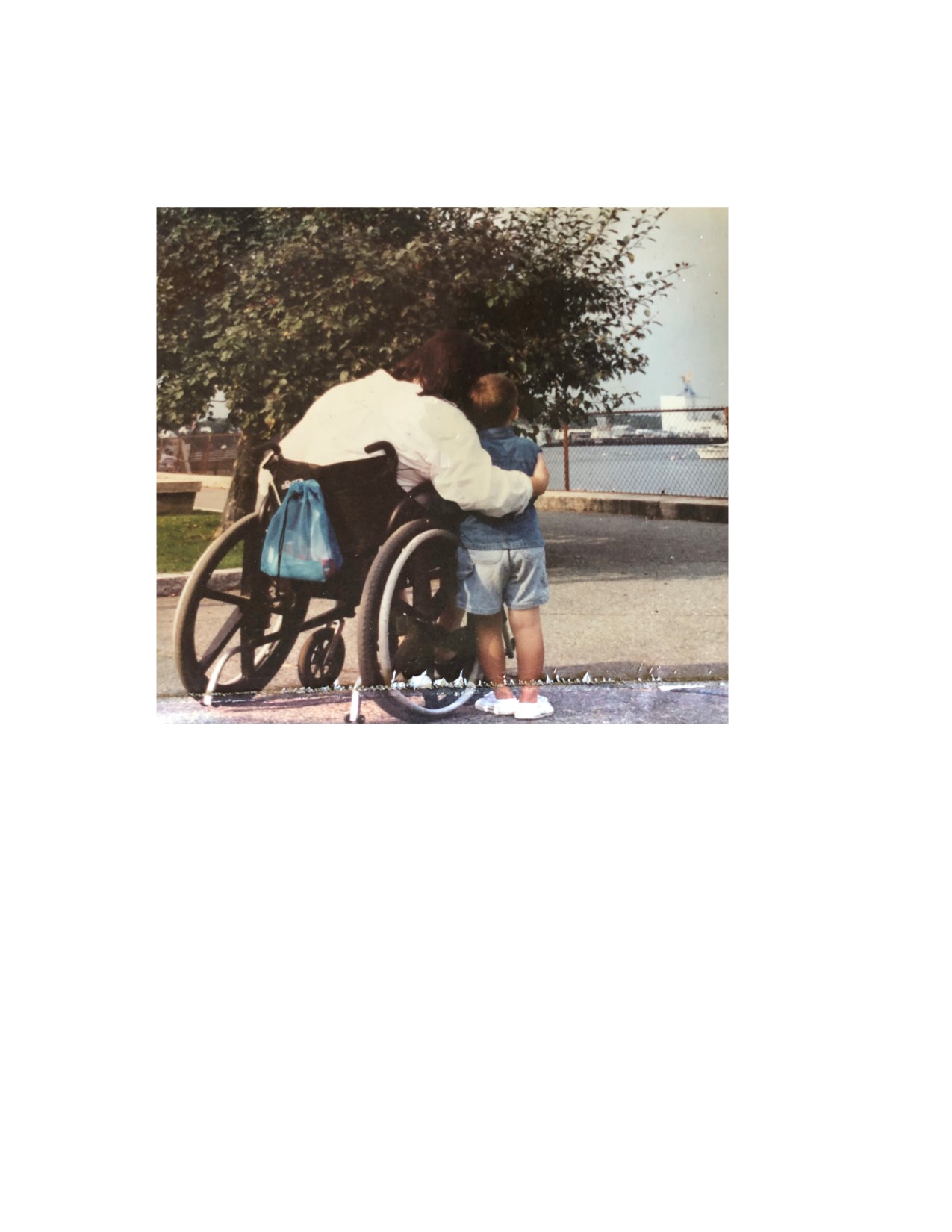 My Campaign Pictures