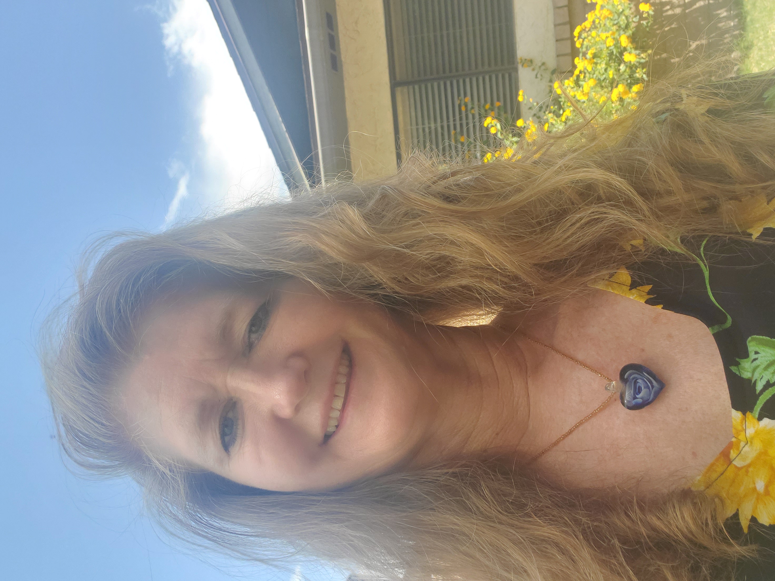 My Campaign Pictures