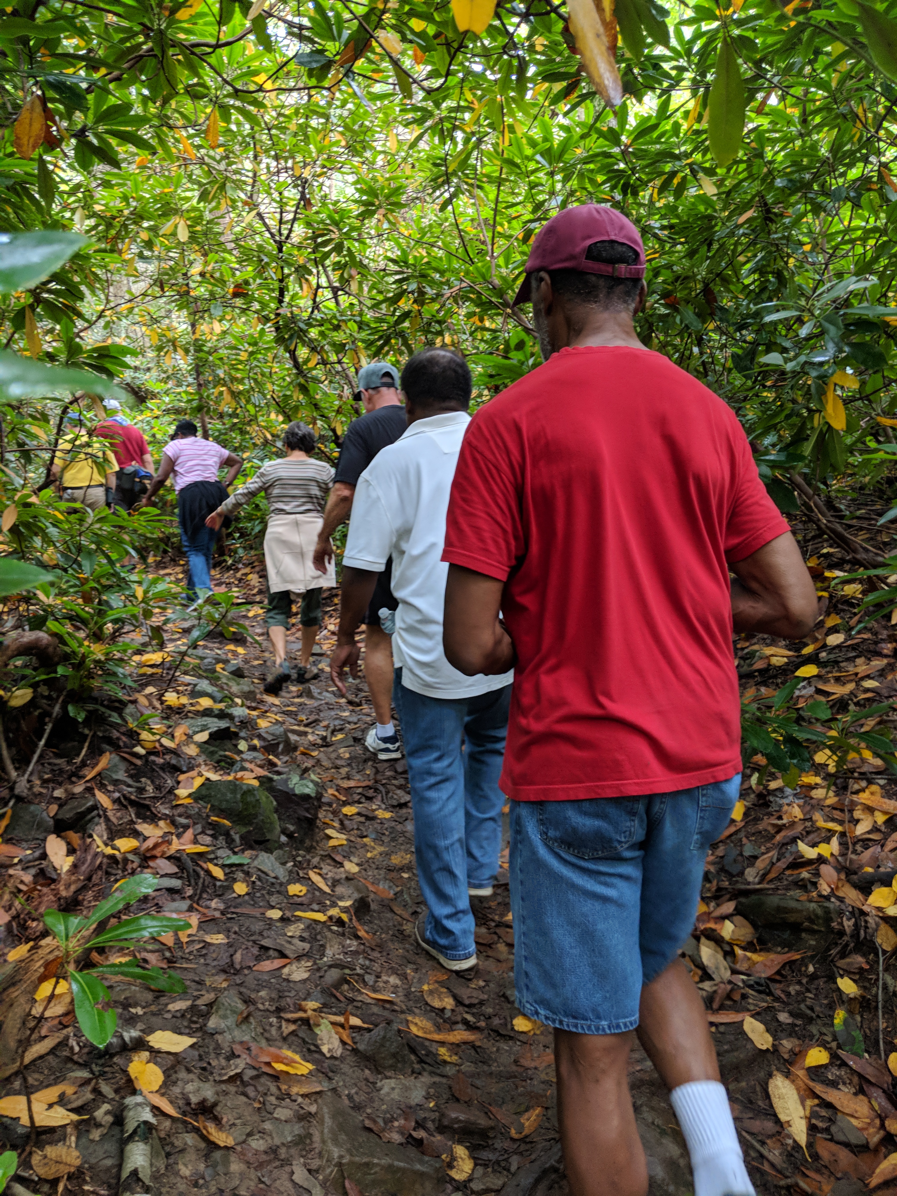 Appalachian Trail Hike-a-thon