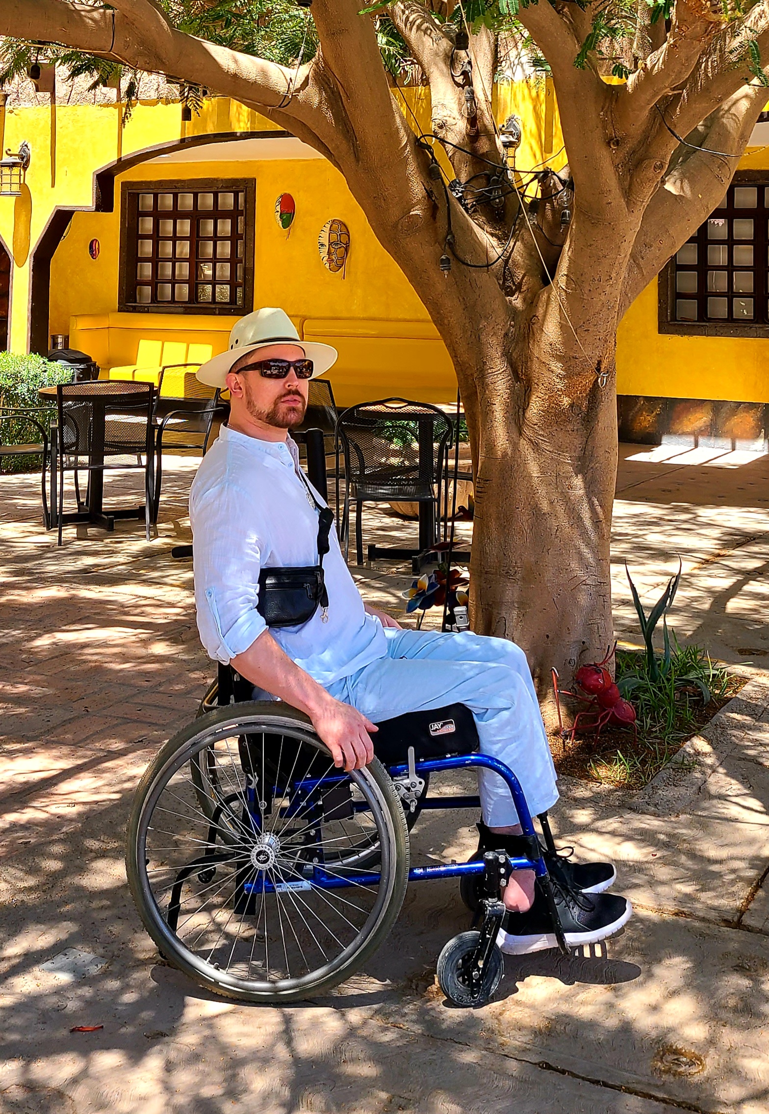 My Campaign Pictures