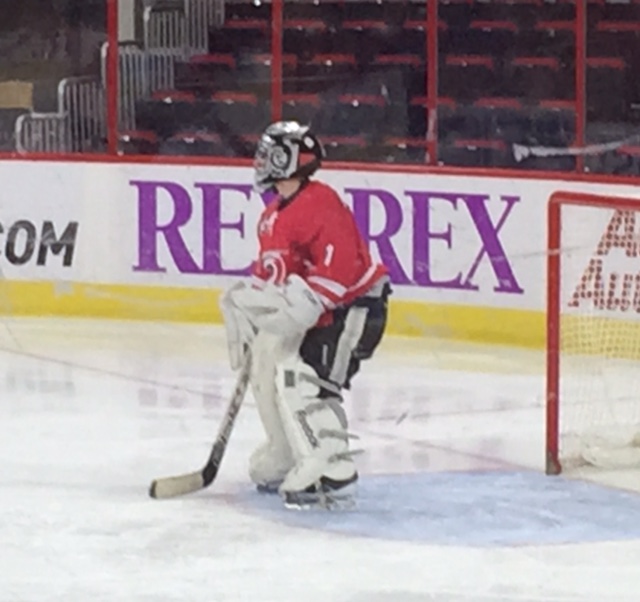 Marshall's Adventures