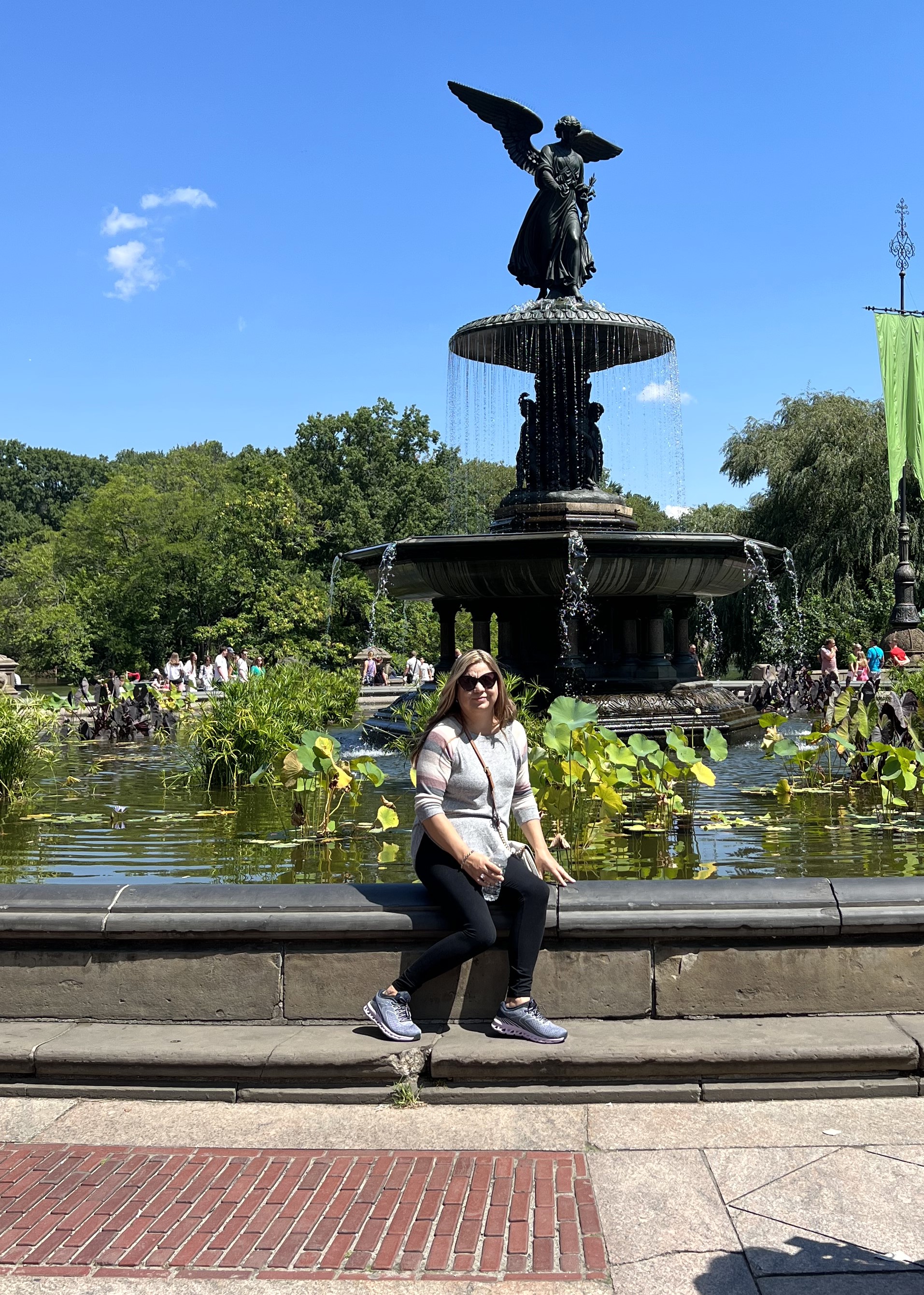 My Campaign Pictures