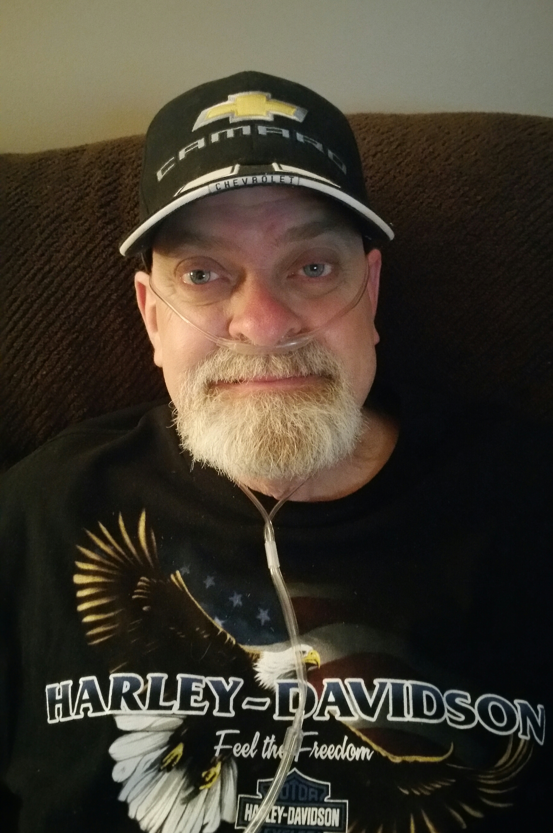 My Campaign Pictures