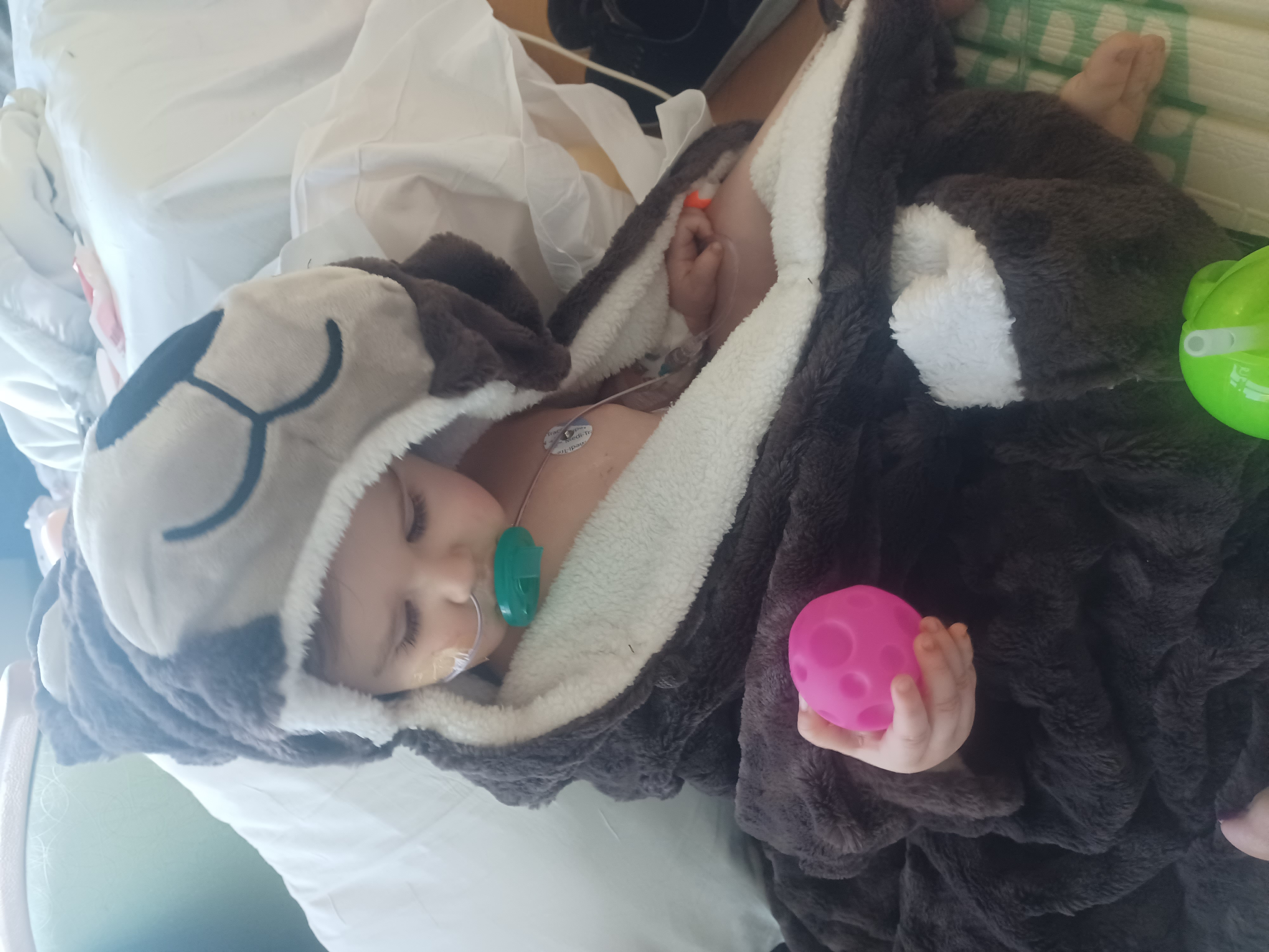 My Campaign Pictures