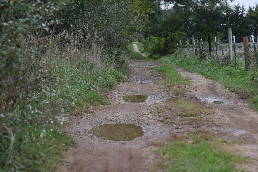 Rugged Terrain and Suz's Off-Road-Vehicle 