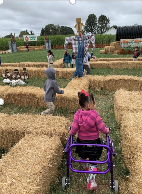 My Campaign Pictures