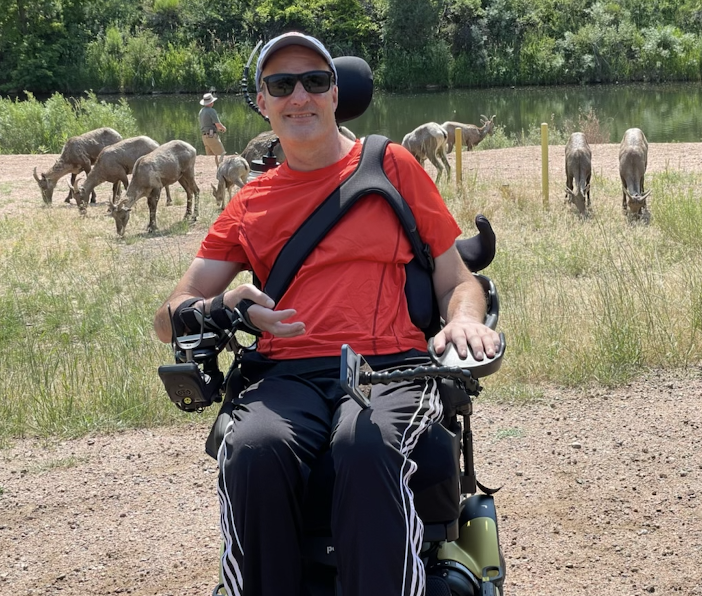 Steve Nicholls Album