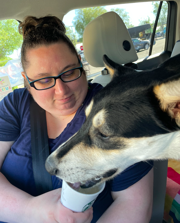 My Campaign Pictures