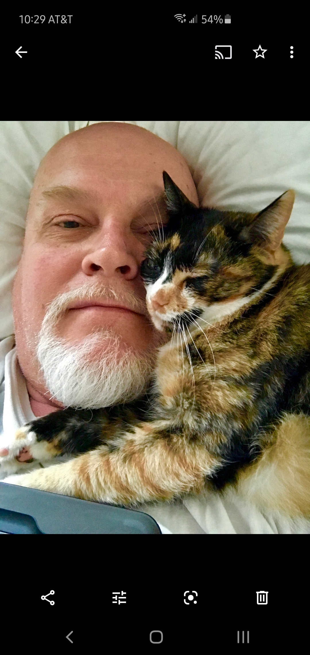 My Campaign Pictures